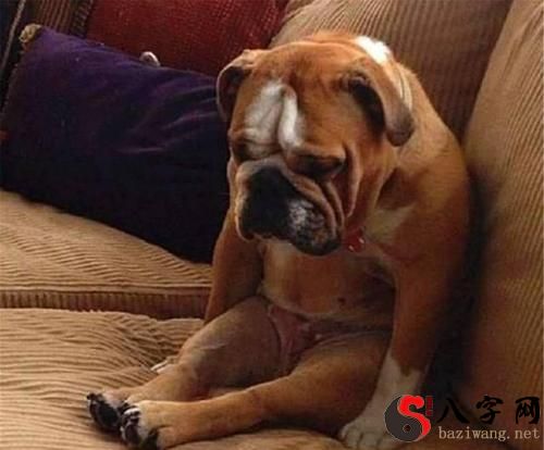 Dreaming of being caught doing something wrong