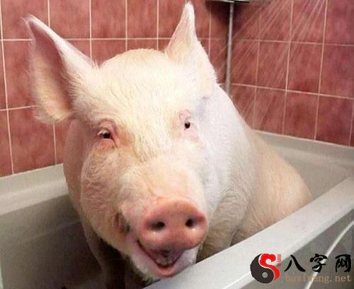 Dreaming of taking a bath