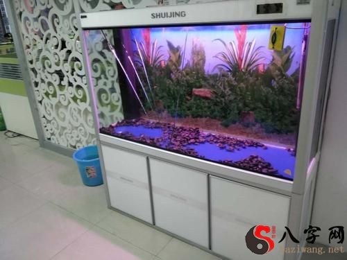 Dreaming of a leaking fish tank