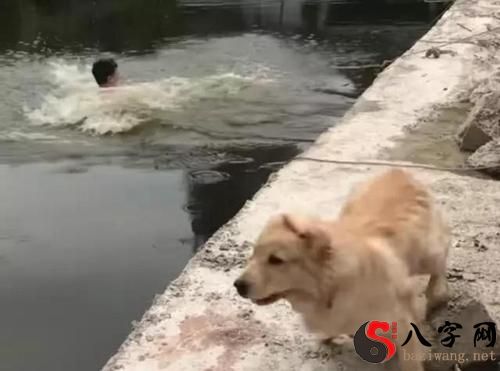 Dreaming of someone falling in the water and being rescued again