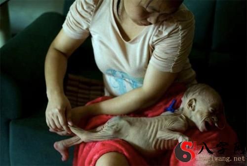 Dreaming of Pregnancy and Childbirth