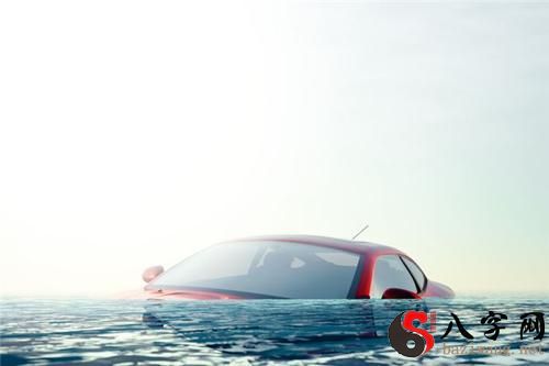 I dreamt that my car fell into the water.