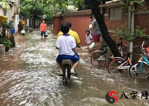 Dreaming of a flooded road home