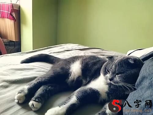 Dreaming of someone disturbing your sleep