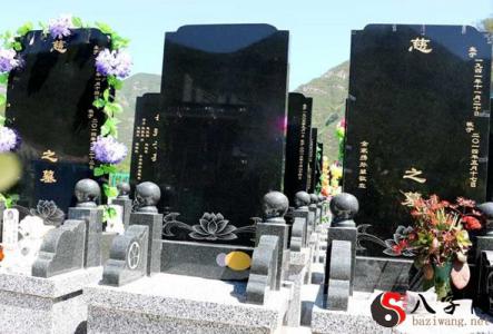 Dreaming of a lotus flower on a grave