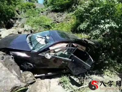 I dreamt that I drove off a cliff and didn't die.