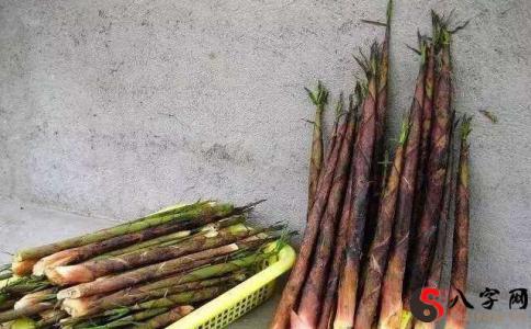 Dreaming of carrying bamboo shoots