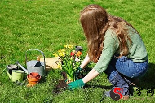 Dreaming of digging and planting flowers