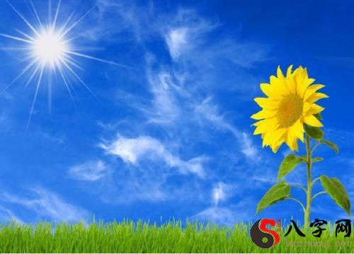 Dreaming of the blue sky and the sun