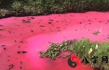 Dreaming of blood flowing into a river