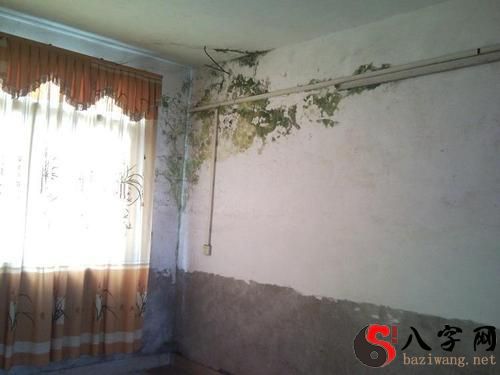 Dreaming of a leaking wall