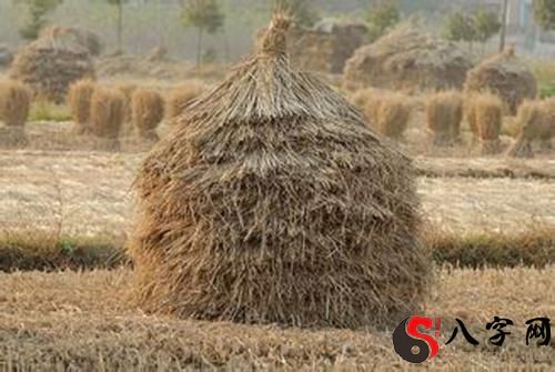 Dreaming of a Straw Pile