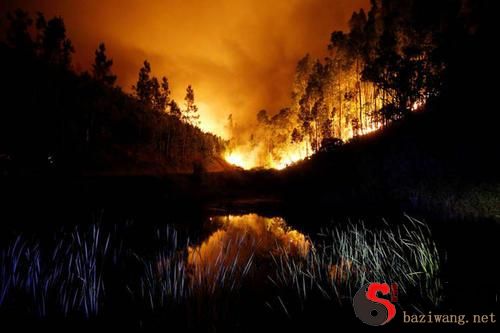 Dreaming of a forest fire