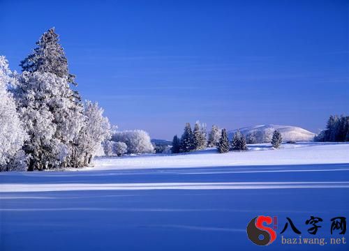 Dreaming of ice and snow