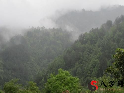 Dreaming of a big, green, green mountain