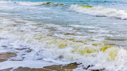 Dreaming of a high tide
