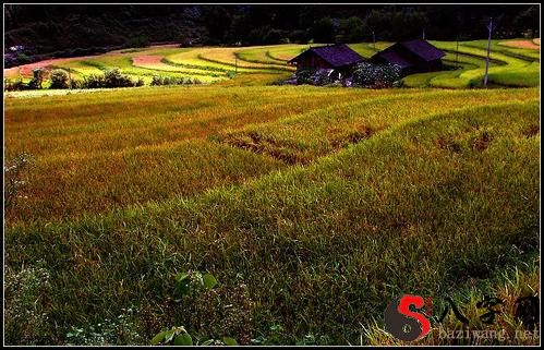 Dreaming of an idyllic scene