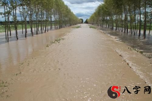 Dreaming of a road flooding