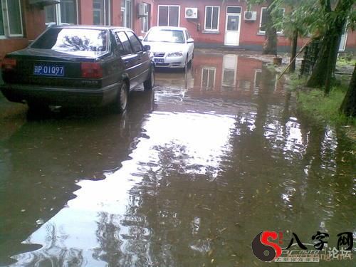 Dreaming of rain and flooding