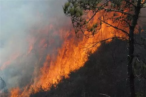 Dreaming of a mountain on fire