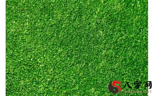 Dreaming of green grass