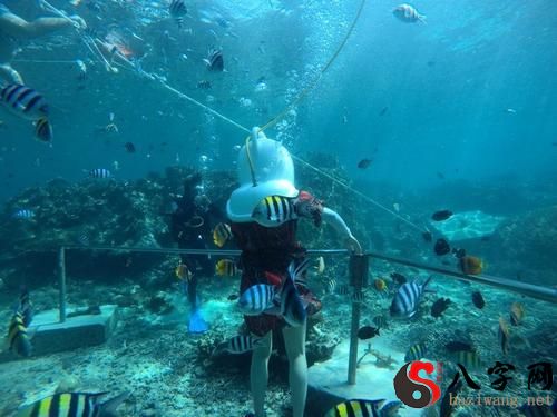 Dreaming of walking on the bottom of the sea