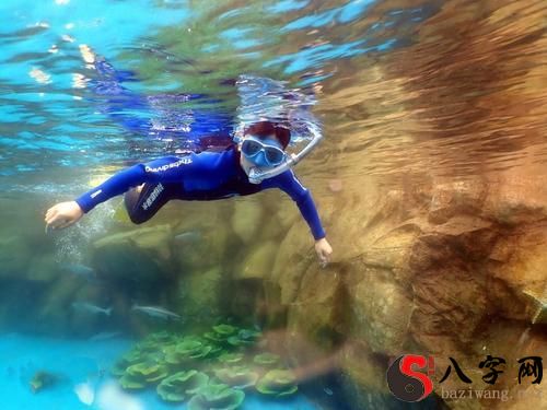 Dreaming of diving in the sea