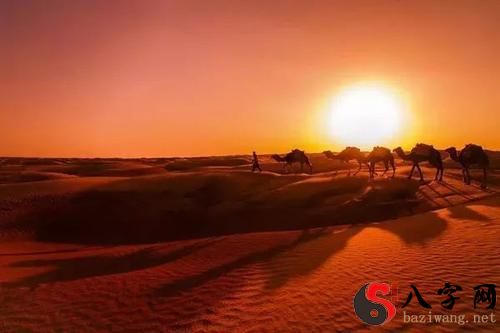 Dreaming of the sea turning into a desert