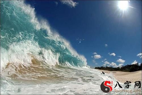 Dreaming of beautiful waves
