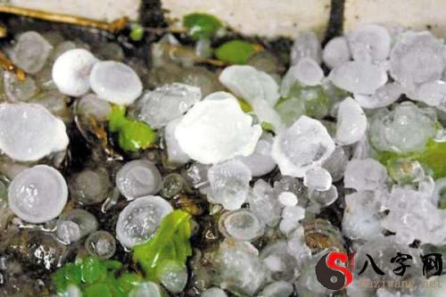 Dreaming of large hailstones