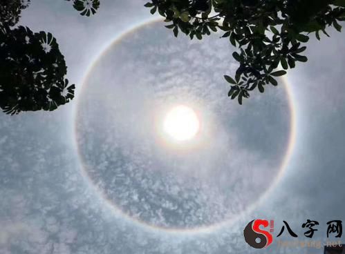 Dreaming of cirrus clouds and halos