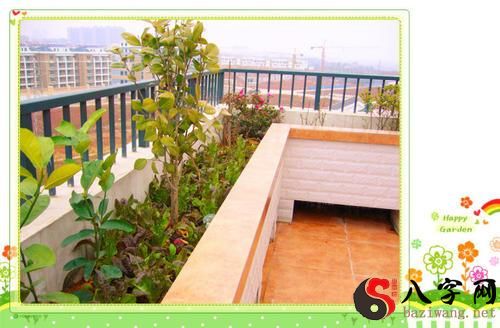 Dreaming of planting trees on a balcony