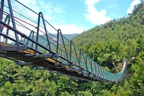 Dreaming of running on a suspension bridge