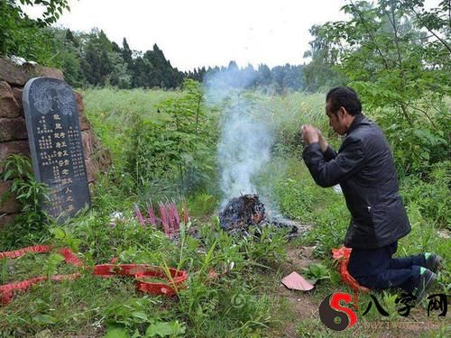 Dreaming of repairing a grave with mulberries