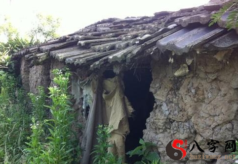 I dreamt that the outhouse had collapsed.