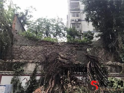 Dreaming of a collapsed courtyard wall