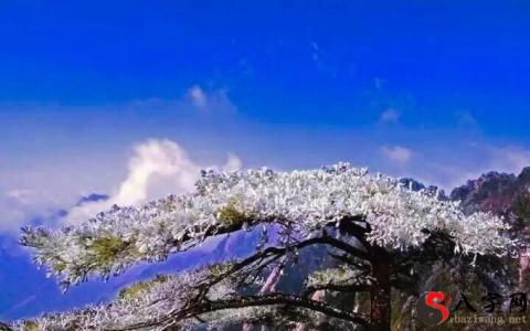 Dreaming of a beautiful landscape