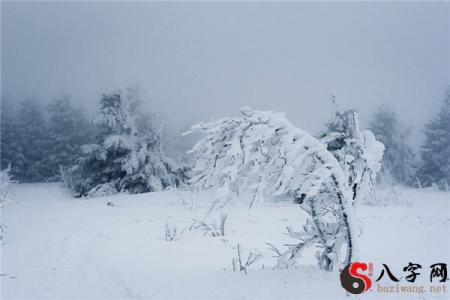 Dreaming of snow