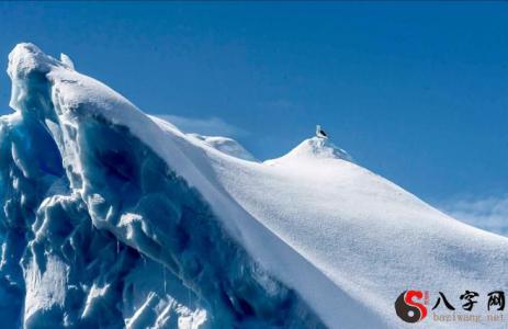 Dreaming of melting snow on a snowy mountain