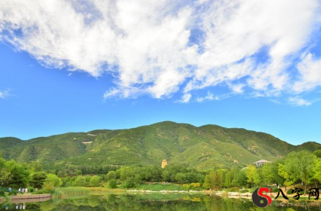 Dreaming of mountains and green water