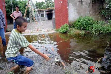 Dreaming of flooding on a road