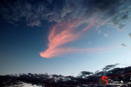 Dreaming of a phoenix in the sky