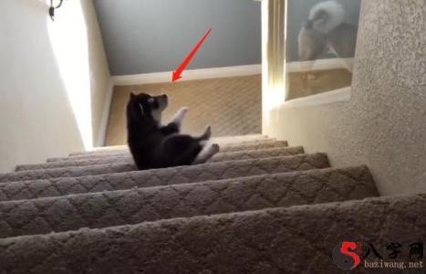 Dreaming of rolling down a flight of stairs