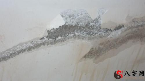 Dreaming of a leaking roof