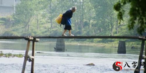 Dreaming of a log bridge