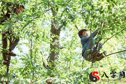 Pregnant women dream of climbing trees