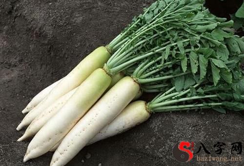 Pregnant woman dreaming of eating radish
