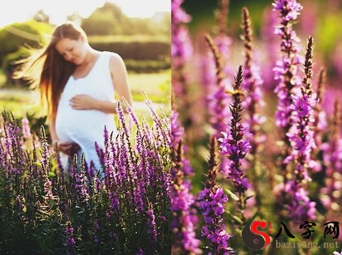 Pregnant women dream of flowers blooming