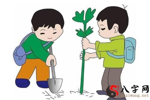 Pregnant women dream of planting trees