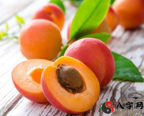 Pregnant woman dreaming of apricots